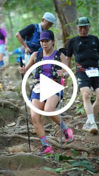 BIB:  <button type="button" onclick="openModal(27646136)" class="btn btn-primary btn-sm float-right" data-toggle="modal" data-target=".modal-high-quality">
                <i class="fa fa-download"></i> Download
                </button>